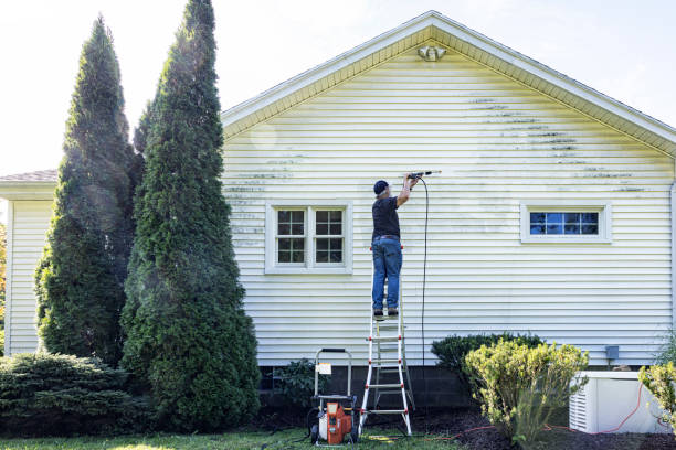 Best Fence Cleaning  in Bay St Louis, MS